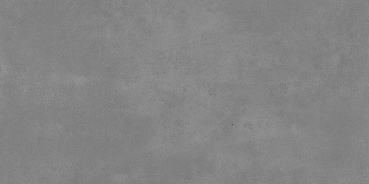 TL 00772 Raw Steel Grey 1200x600 mm Matte Finish Full Body Vitrified Wall & Floor Tile - 9 mm | Image 1