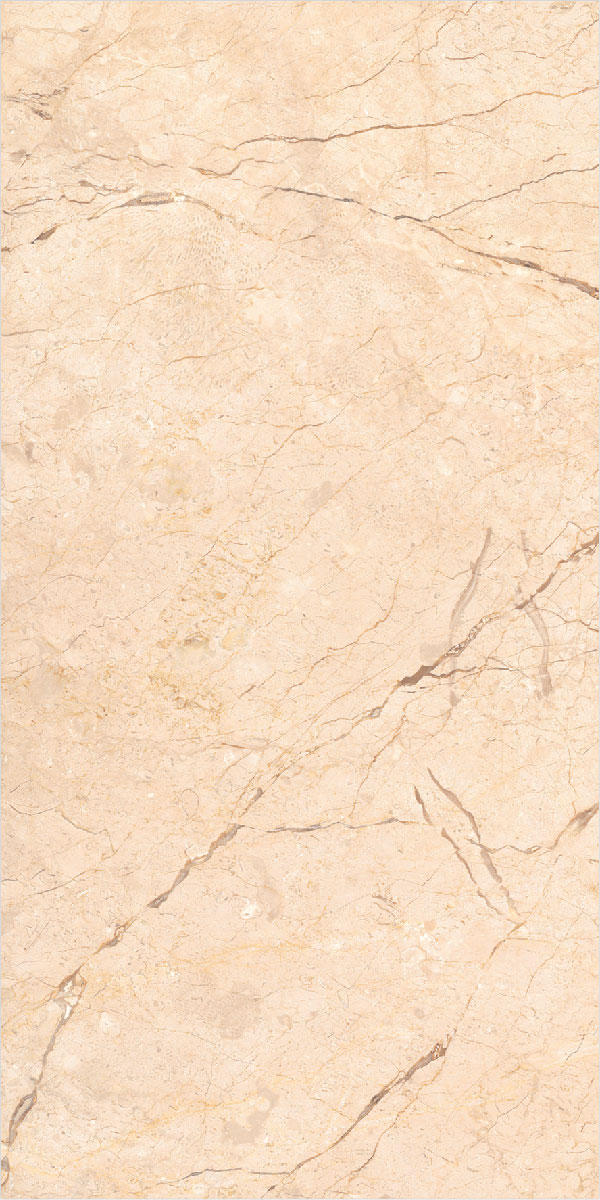 TL 00800 Sevellia Crema 1200 x 600 mm Carving Matte Finish Vitrified Wall & Floor Tile - 9 mm | Image 1