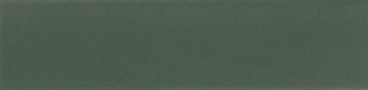 Subway Solid Wall & Floor Tile TL 05230 B Sheen Fern Olive 12 x 3 inch Vitrified Matte Finish - 8 mm | 21 Random Faces | Suitable for Living Room, Accent / Feature Walls, Bathroom, Kitchen Wall & Backsplashes | Image 1