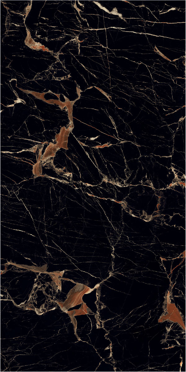 TL 01012 Sagon Black 1200x600 mm High Gloss Finish Vitrified Wall & Floor Tile - 9 mm | Image 1