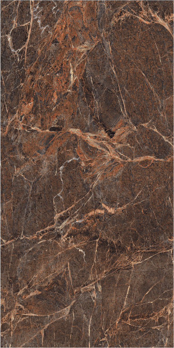 TL 01016 Spider Brown 1200x600 mm High Gloss Finish Vitrified Wall & Floor Tile - 9 mm | Image 1