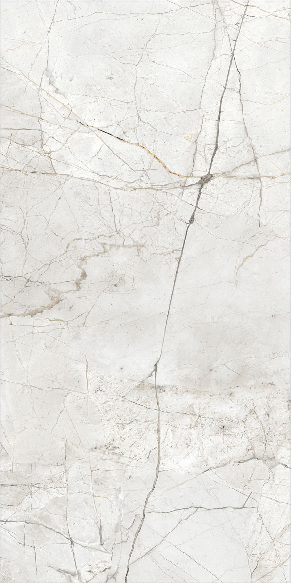 TL 00967 Vanity Silver 1200x600 mm Glossy Finish Vitrified Wall & Floor Tile - 9 mm | Image 1