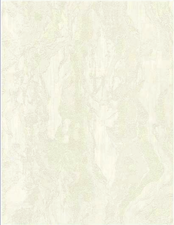 RT5500-45 | 10 Meter x 21 Inches Plain look Wallpaper - 57.41 Sq. Ft. Image 01